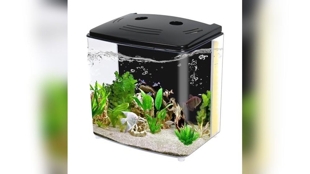 Best Goldfish Tank for 2 Goldfish: Top Small Aquariums Reviewed