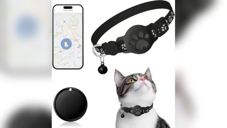 Best GPS Tracking Collar for Cats: Top Waterproof Smart Collars Reviewed