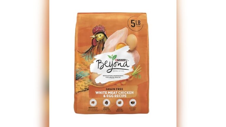 Best Grain-Free Dry Cat Food for Healthy, Happy, and Active Cats