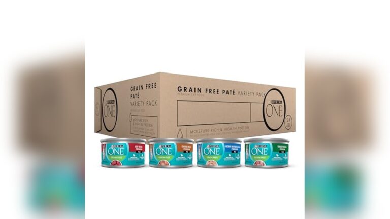 Best Grain-Free Wet Cat Food: Top Healthy Choices for Your Feline