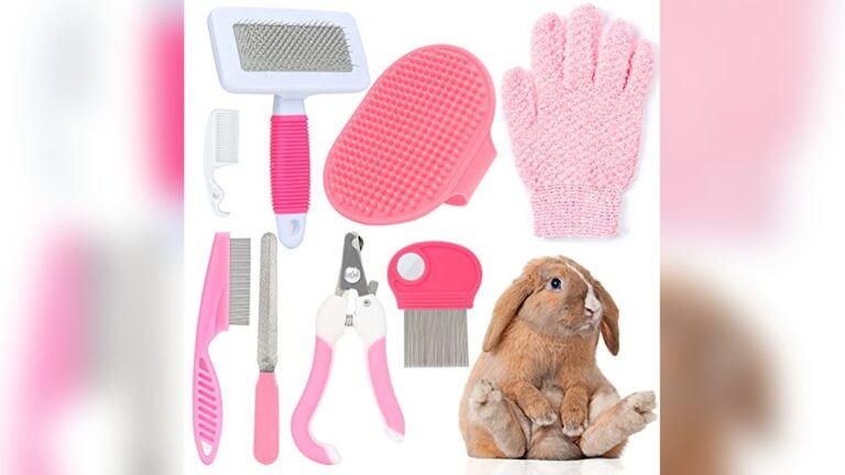Best Grooming Kit for Rabbits: Essential Tools for Perfect Pet Care