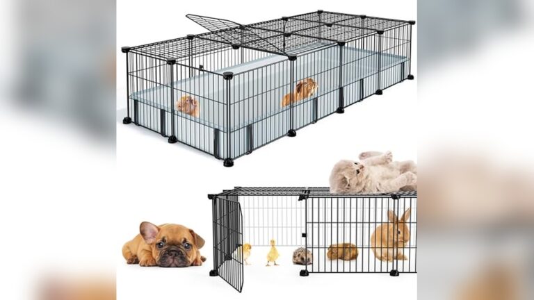 Best Guinea Pig Cage Size for 2: Ultimate Comfort and Space Guide