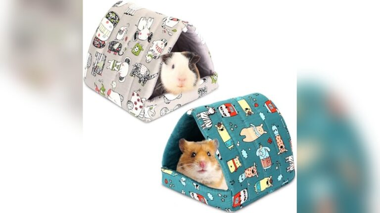 Best Guinea Pig Hidey (Washable) for Cozy and Clean Small Pet Homes
