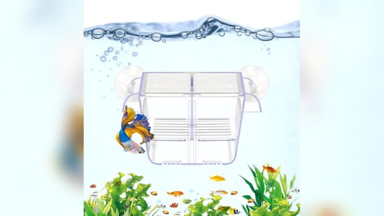 Best Guppy Breeder Box for Fry: Top Aquarium Hatchery Solutions
