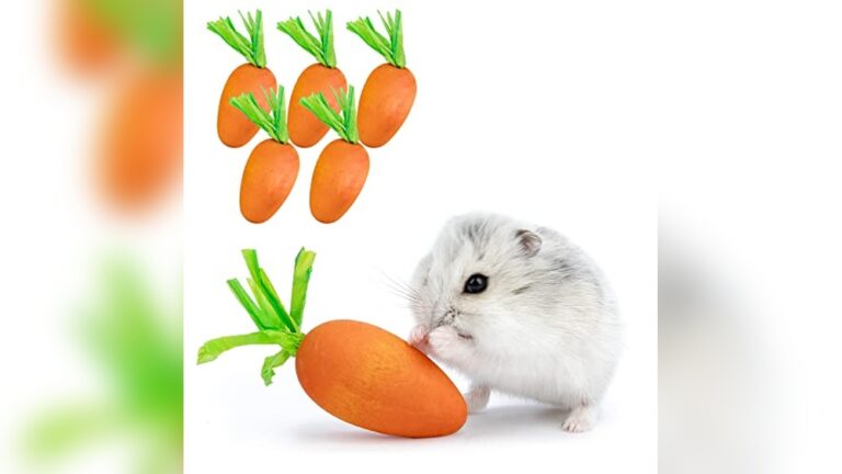 Best Hamster Chew Mix (Walnut/Linden) for Happy Healthy Pets