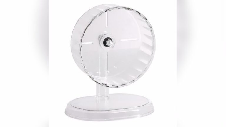 Best Hamster Wheel for Syrian (28-30Cm) – Quiet, Adjustable & Durable