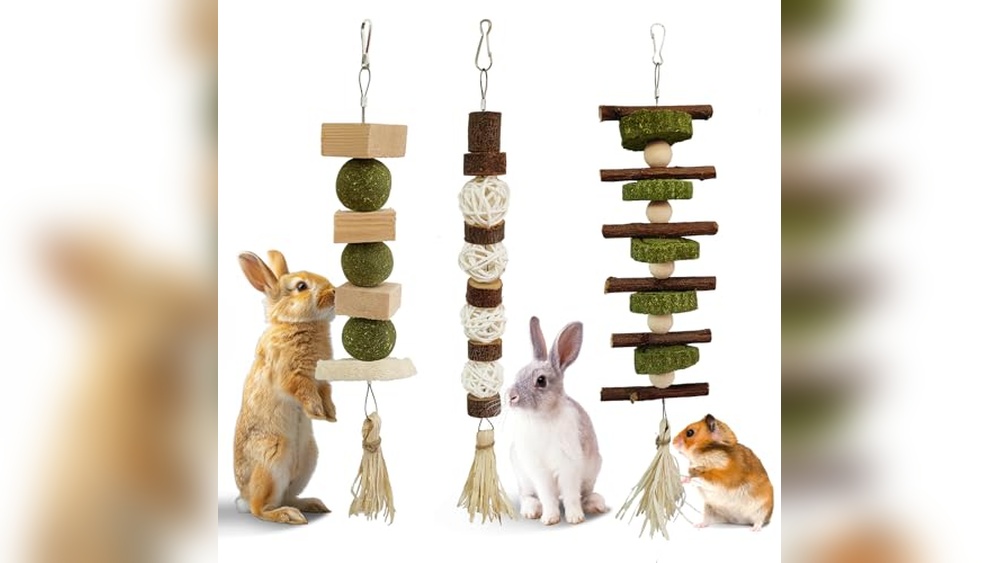 Best Hanging Chew Toy for Chinchillas: Top Natural Wooden Options Reviewed