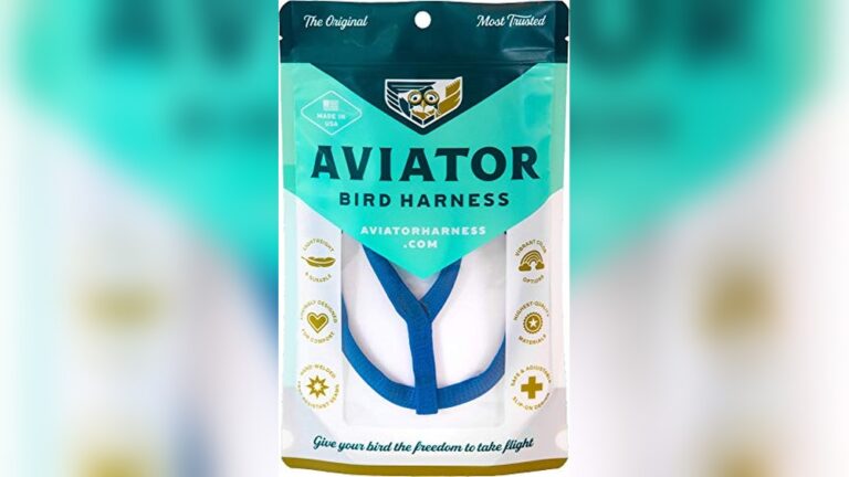 Best Harness for Parrots (Escape-Proof) to Keep Your Bird Safe Outdoors