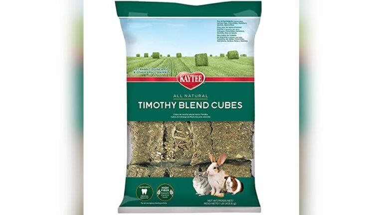 Best Hay Cubes for Travel: Top Natural Timothy Hay Options for Pets