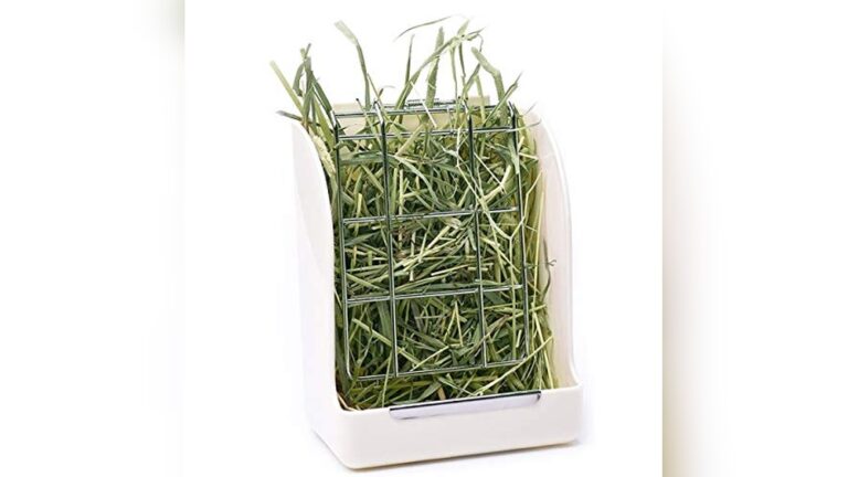 Best Hay Feeder for Rabbits (Mess-Free) to Keep Cages Clean