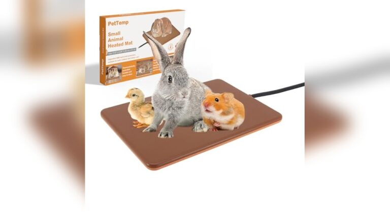 Best Heat Pad for Sick Small Animals (Regulated) for Safe Comfort