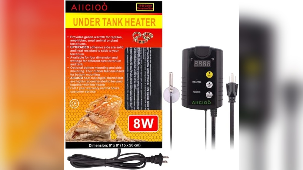 Best Heat Setup for Hedgehogs (Che + Thermostat) for Cozy Comfort