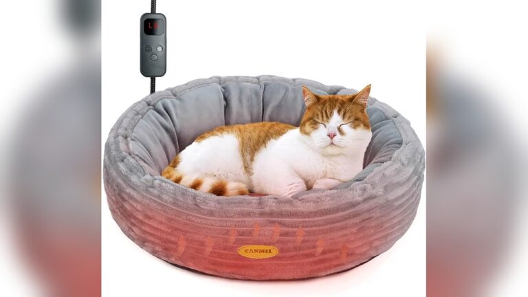 Best Heated Cat Bed for Winter: Cozy Comfort Your Cat Deserves