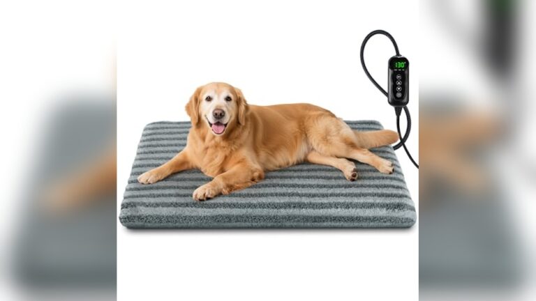 Best Heated Dog Bed for Winter: Top Cozy Picks for Your Pet’s Warmth