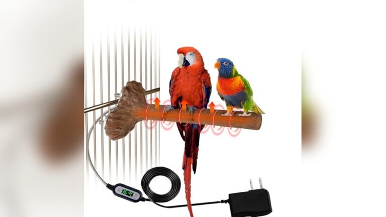 Best Heated Perch for Winter: Keep Your Birds Warm and Cozy