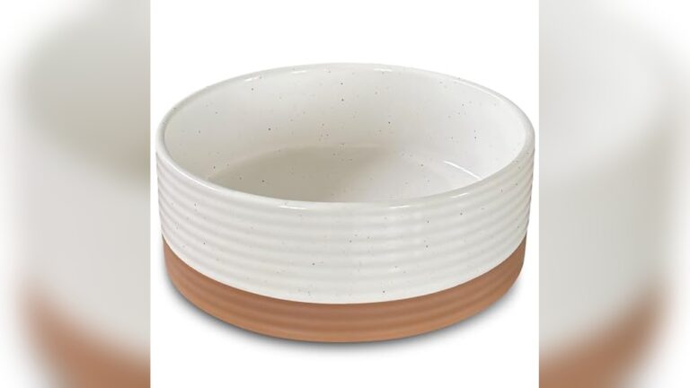 Best Heavy Ceramic Food Bowl for Rabbits: Durable and Safe Choices
