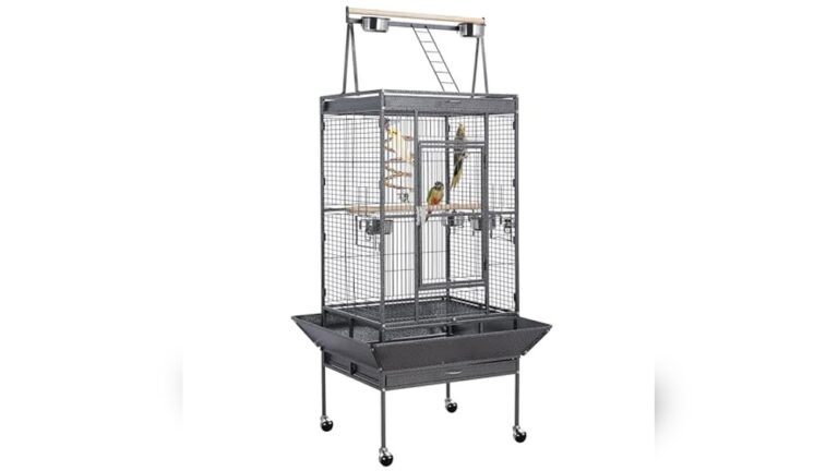 Best Heavy-Duty Cage for African Greys: Durable, Spacious, and Secure Options