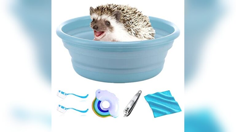 Best Hedgehog Bath Routine Kit (No-Rinse) for Easy Grooming Essentials