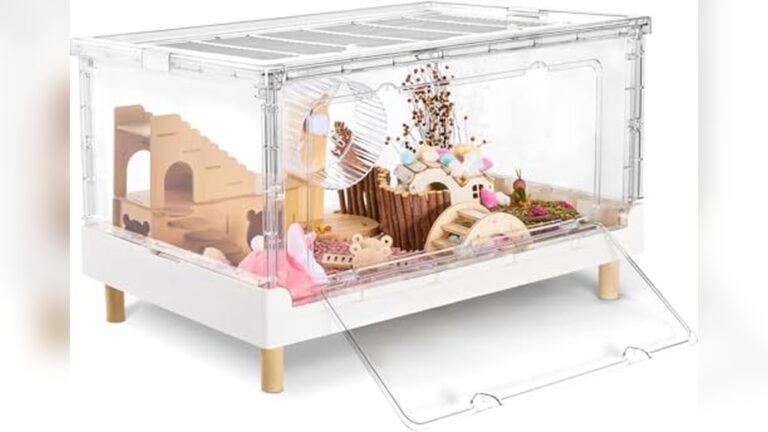 Best Hedgehog Cage (Ventilation) for Healthy and Happy Pets