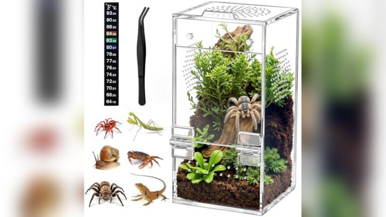 Best Hedgehog Enclosure (Proper Ventilation) for Healthy Small Pets