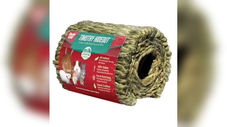 Best Hideout for Gerbil Pairs: Top Cozy Homes for Small Pets