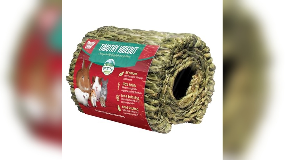 Best Hideout for Gerbil Pairs: Top Cozy Homes for Small Pets