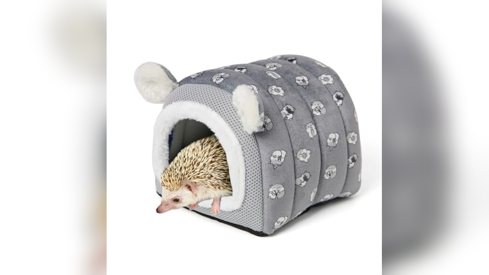 Best Hideout for Hedgehogs (Quiet) to Ensure Cozy, Peaceful Comfort
