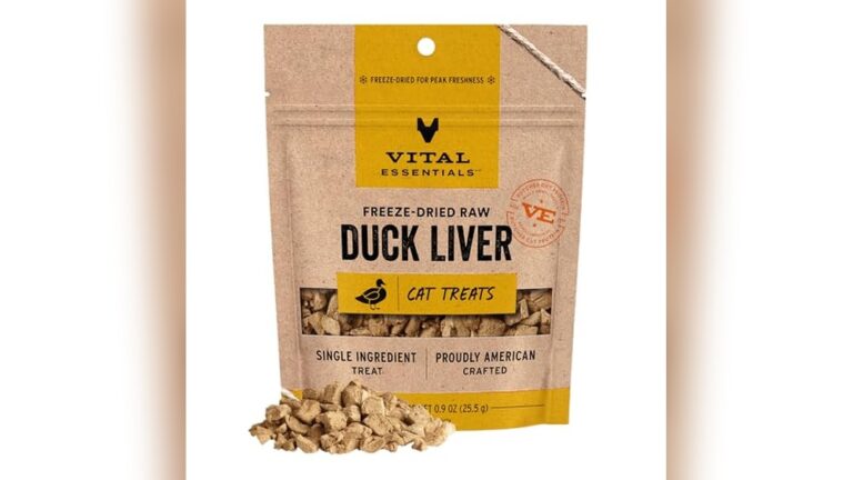 Best High-Protein Cat Treats for Healthy, Happy, and Energetic Cats
