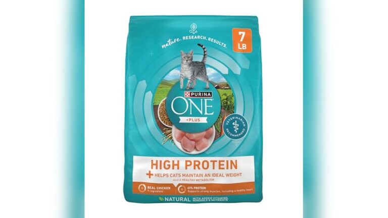 Best High-Protein Dry Cat Food for Optimal Health and Weight Control