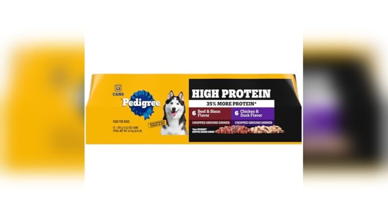 Best High-Protein Wet Dog Food for Strong, Healthy, and Happy Dogs