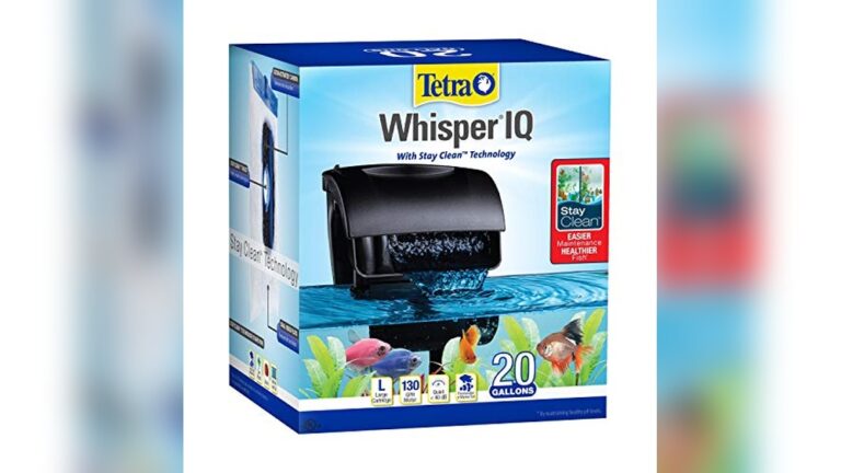 Best Hob Filter for 20 Gallon Tanks: Top Quiet and Efficient Picks