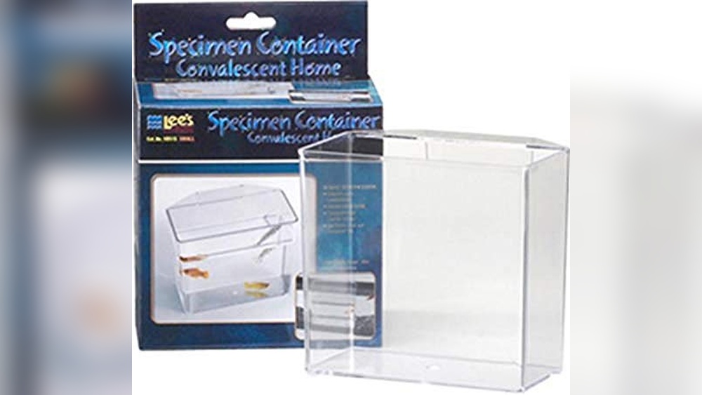 Best Hospital Tank for Sick Fish: Top Healing Aquariums Reviewed