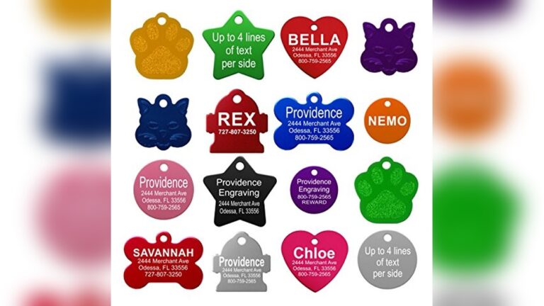 Best Id Tag for Cats: Top Personalized and Durable Options Reviewed
