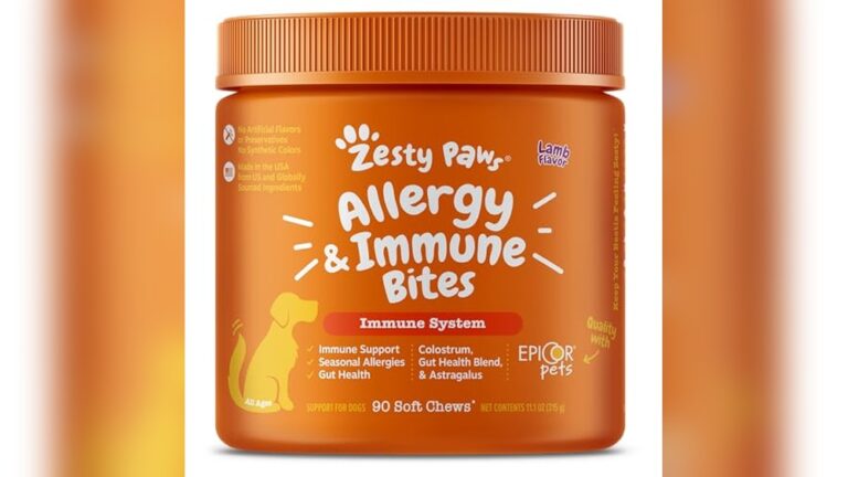 Best Immune Booster for Dogs: Top Supplements for Health and Vitality