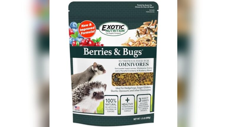 Best Insect Protein Treats for Hedgehogs: Top Natural Healthy Snacks