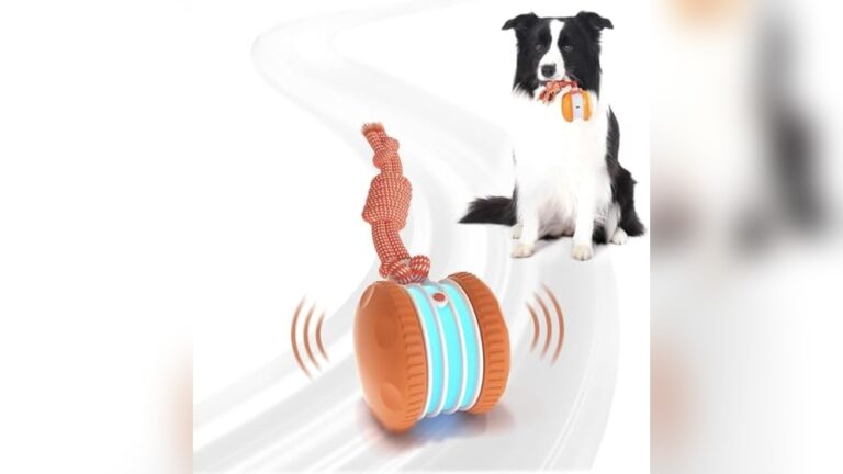 Best Interactive Toy for Bored Dogs to Boost Fun and Mental Stimulation