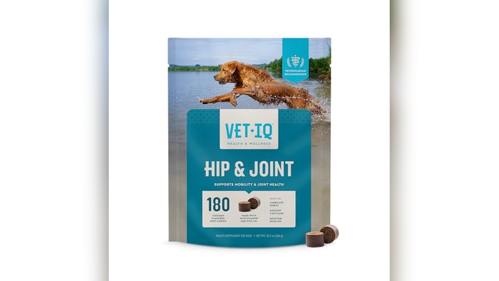 Best Joint Supplement for Older Parrots: Top Choices for Healthy Mobility