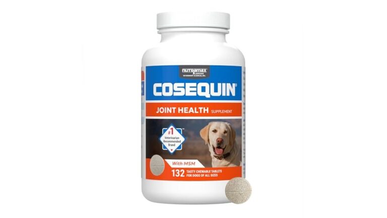 Best Joint Supplement for Senior Dogs to Enhance Mobility and Comfort