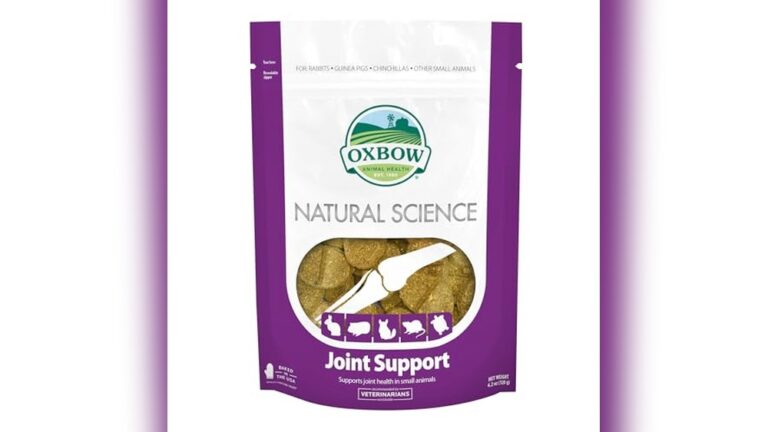 Best Joint Supplement for Senior Rabbits: Top Natural Support Choices