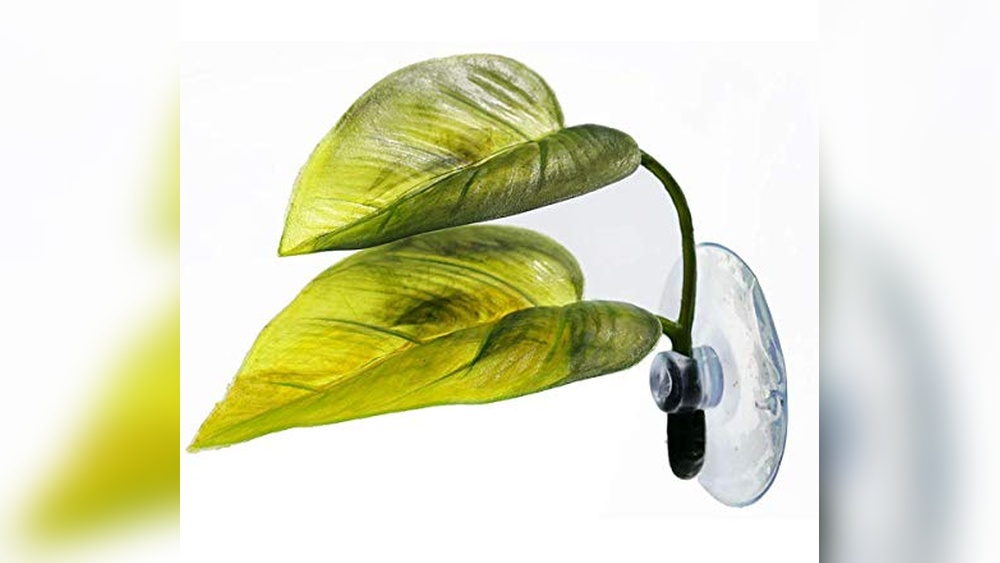 Best Leaf Hammock for Betta Resting: Top Picks for Cozy Fish Beds