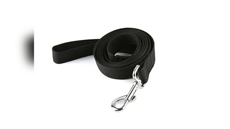 Best Leash for Indoor Training: Durable, Lightweight, and Reliable Choices