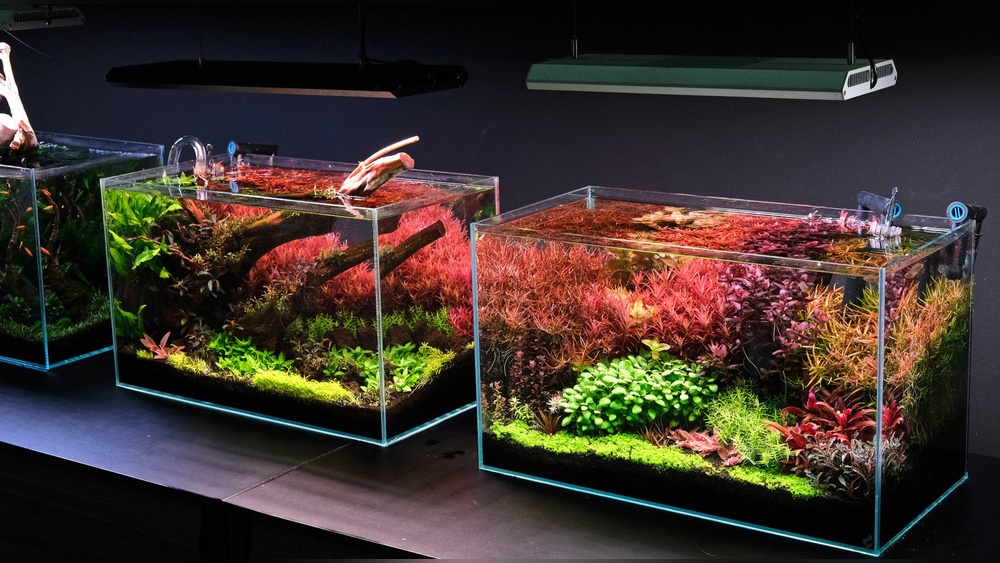 Best Led Aquarium Lighting