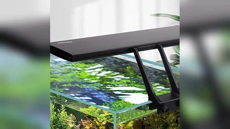 Best Led Light for Planted Tank (Low Tech) to Boost Growth Naturally