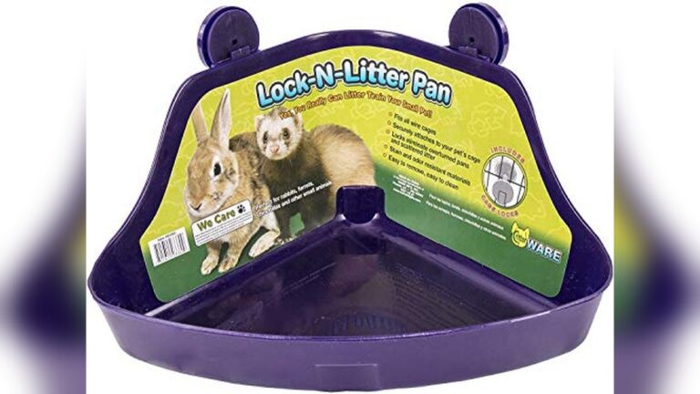 Best Litter Box for Rabbits (Corner) – Top Picks for Small Pets