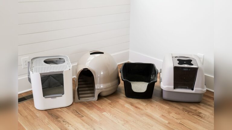 Best Litter Box for Small Spaces: Top Compact Picks for Cats