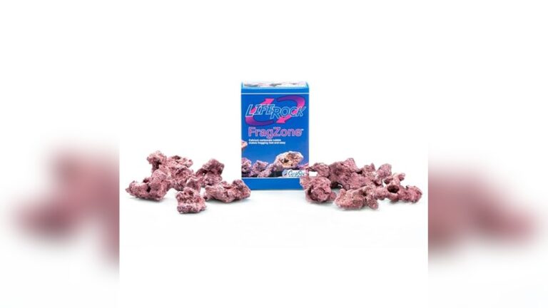 Best Live Rock Alternatives (Dry Rock) for Thriving Reef Tanks
