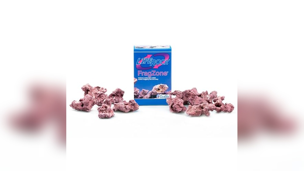 Best Live Rock Alternatives (Dry Rock) for Thriving Reef Tanks