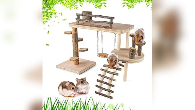Best Loft & Ramp Set for Rats: Top Wooden Climbing Playgrounds Reviewed
