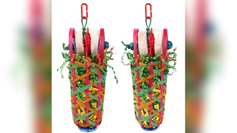 Best Lovebird Toys (Shreddable) for Fun and Healthy Playtime