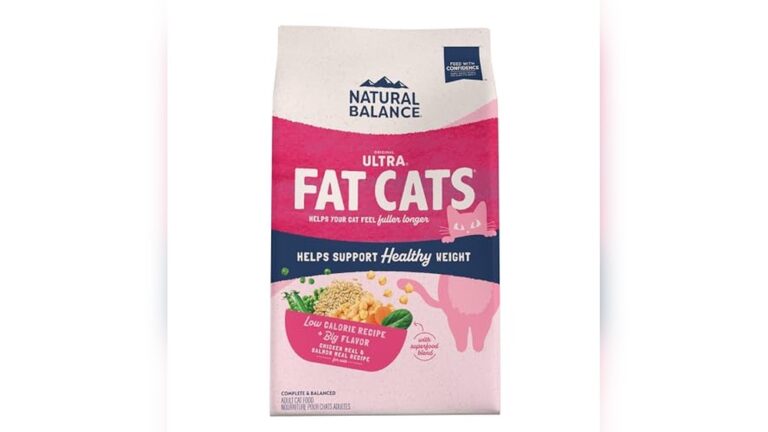 Best Low-Fat Cat Food for Healthy, Happy Indoor Cats